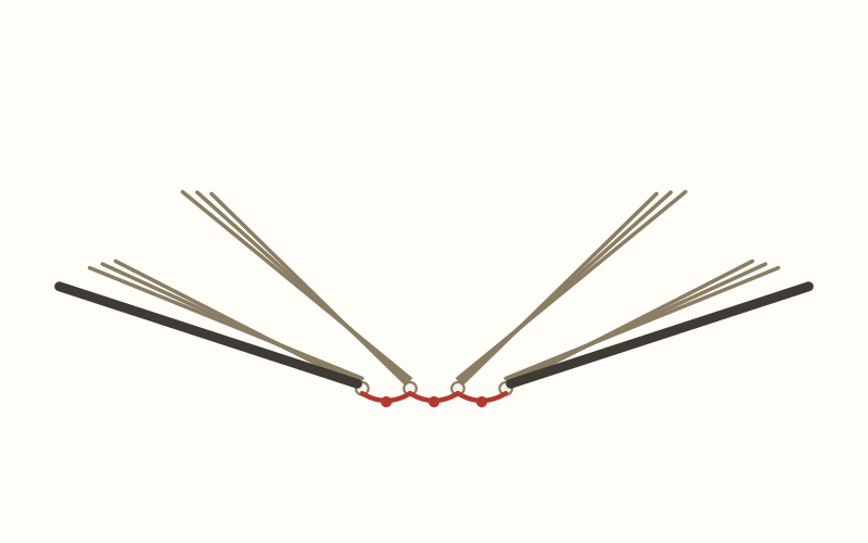 Coptic binding: Signatures articulating — each signature pivots independently on its chain-linked sewing stations