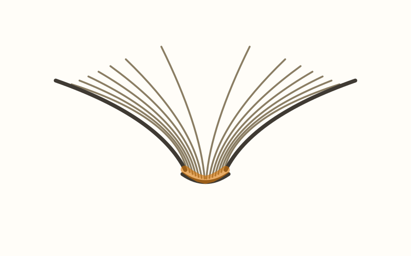 Perfect binding, Reading position